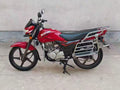 Hongda CBF150C Zhanlong 150cc Fuel-Powered Standard Motorcycle